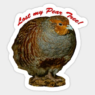 Partridge without a Pear tree Sticker